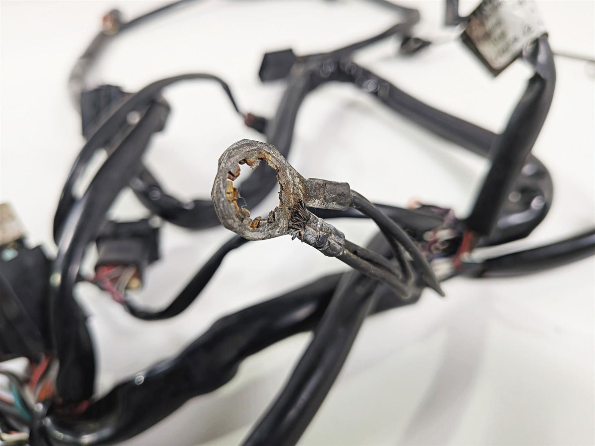 1998 Harley Dyna FXDL Low Rider Wiring Harness Loom - Read 69558-98 {{ shop.shopifyCountryName }} - Mototech271