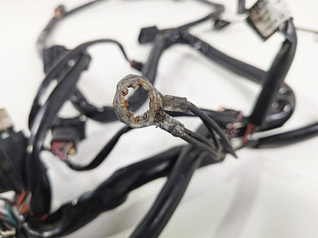 1998 Harley Dyna FXDL Low Rider Wiring Harness Loom - Read 69558-98 {{ shop.shopifyCountryName }} - Mototech271