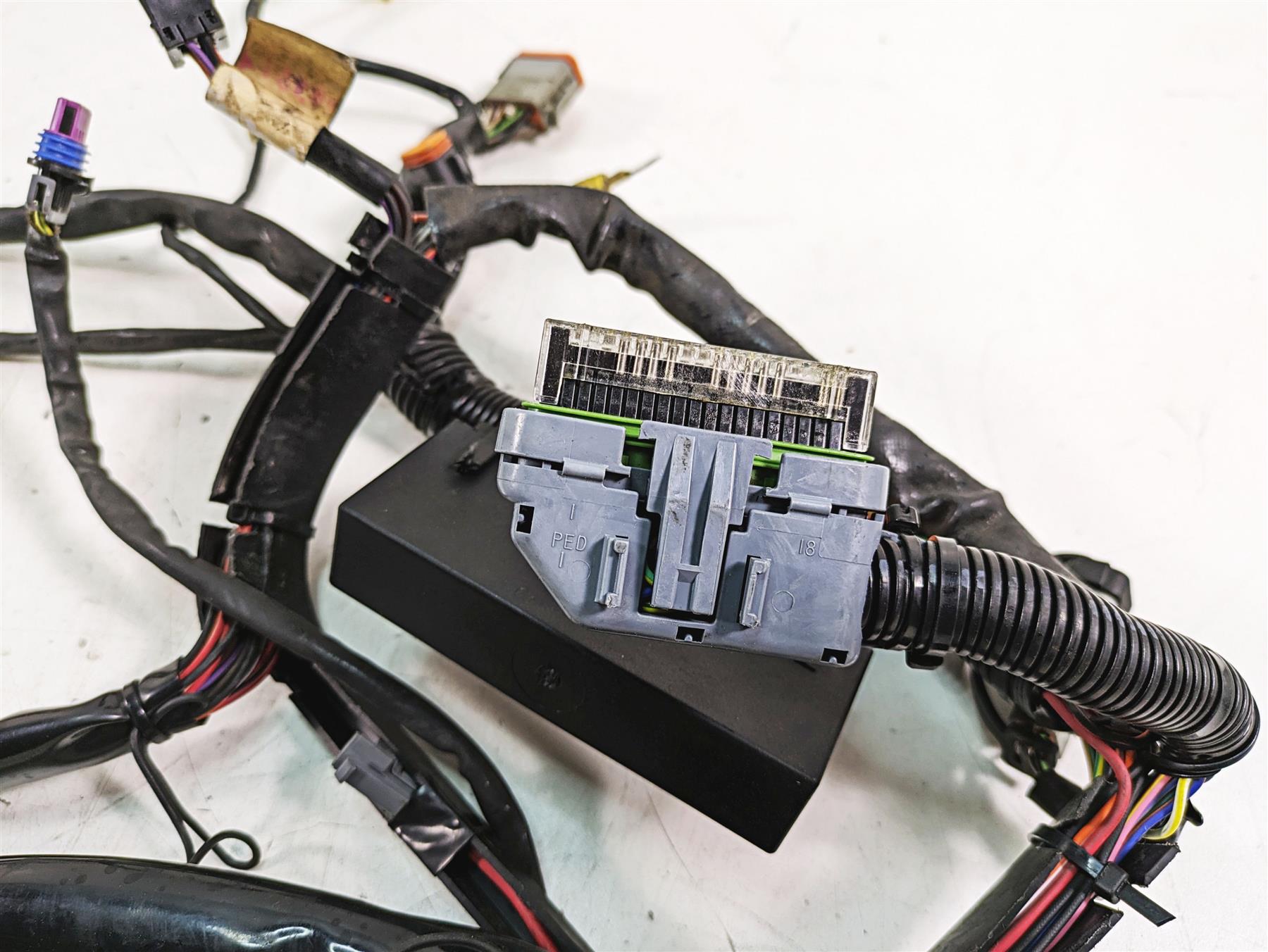 2006 Harley FLSTI Softail Heritage Main Wiring Harness Loom - Read 70431-06 {{ shop.shopifyCountryName }} - Mototech271
