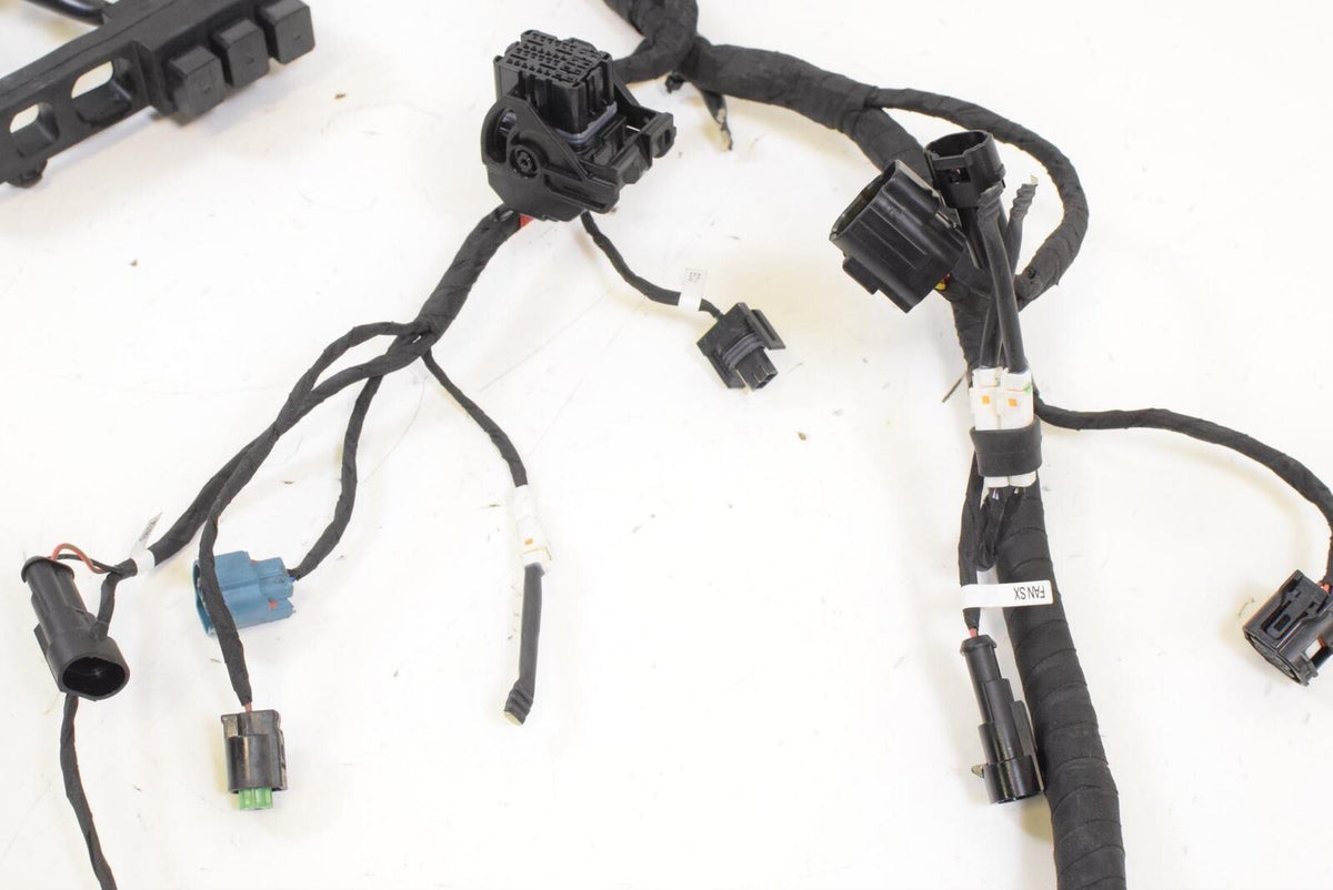 2017 Ducati Supersport 939 Main Wiring Harness Loom NO CUTS 5101B191D {{ shop.shopifyCountryName }} - Mototech271