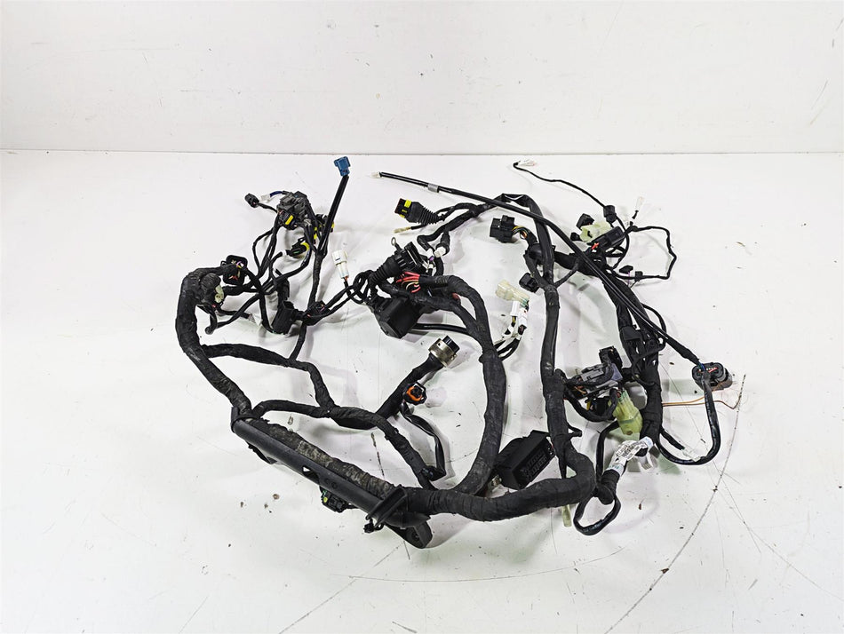 2015 Ducati Panigale 1299 S Wiring Harness Loom READ 5101A011D {{ shop.shopifyCountryName }} - Mototech271