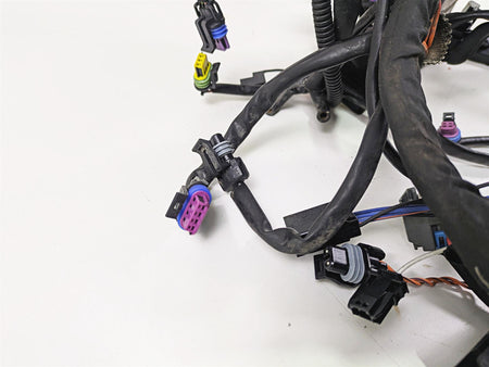 2014 Harley FLS Softail Slim Main Abs Wiring Harness Loom - No Cuts 69200319 {{ shop.shopifyCountryName }} - Mototech271
