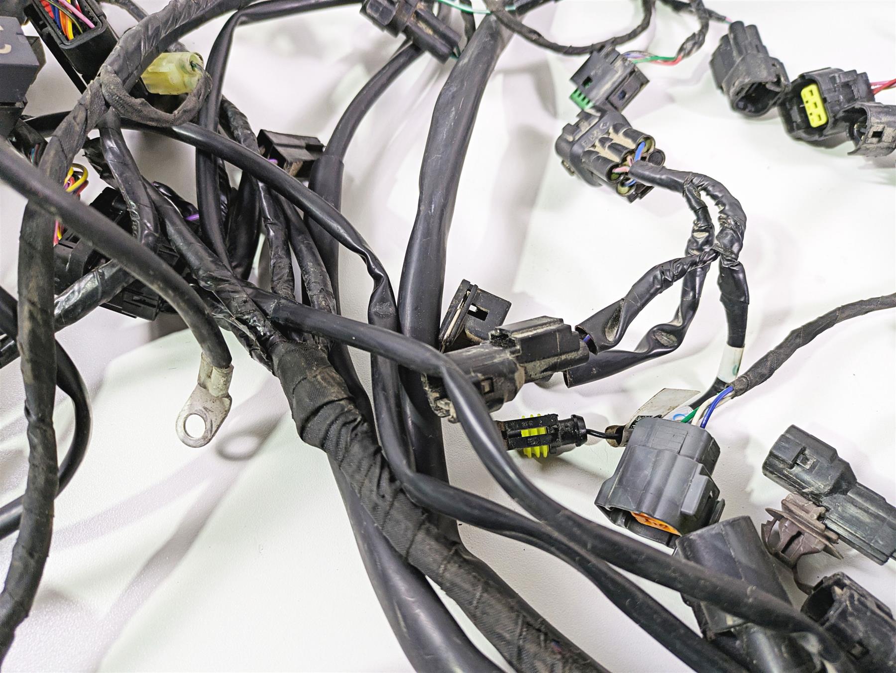 2024 Triumph Tiger 900 GT Main Wiring Harness Loom - No Cut T2507820 T2502370 {{ shop.shopifyCountryName }} - Mototech271