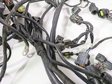 2024 Triumph Tiger 900 GT Main Wiring Harness Loom - No Cut T2507820 T2502370 {{ shop.shopifyCountryName }} - Mototech271