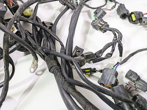 2024 Triumph Tiger 900 GT Main Wiring Harness Loom - No Cut T2507820 T2502370 | Mototech271