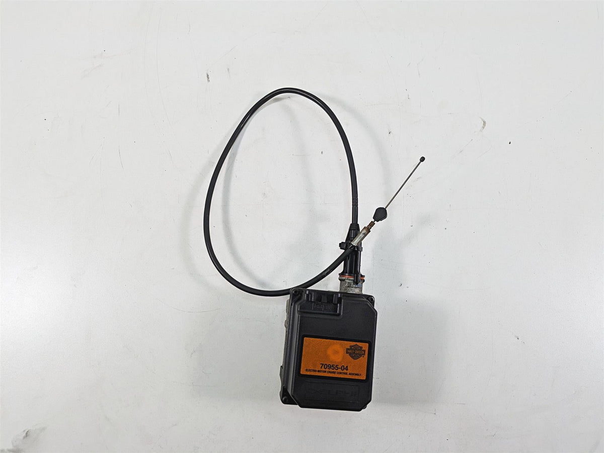 2006 Harley Touring FLHXI Street Glide Delphi Cruise Control Module 70955-04 {{ shop.shopifyCountryName }} - Mototech271