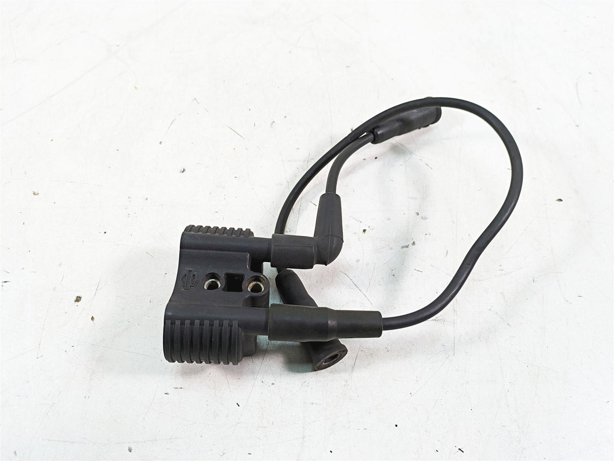 2007 Harley Sportster XL1200 C Ignition Coil Wires & Plugs 31656-07 {{ shop.shopifyCountryName }} - Mototech271
