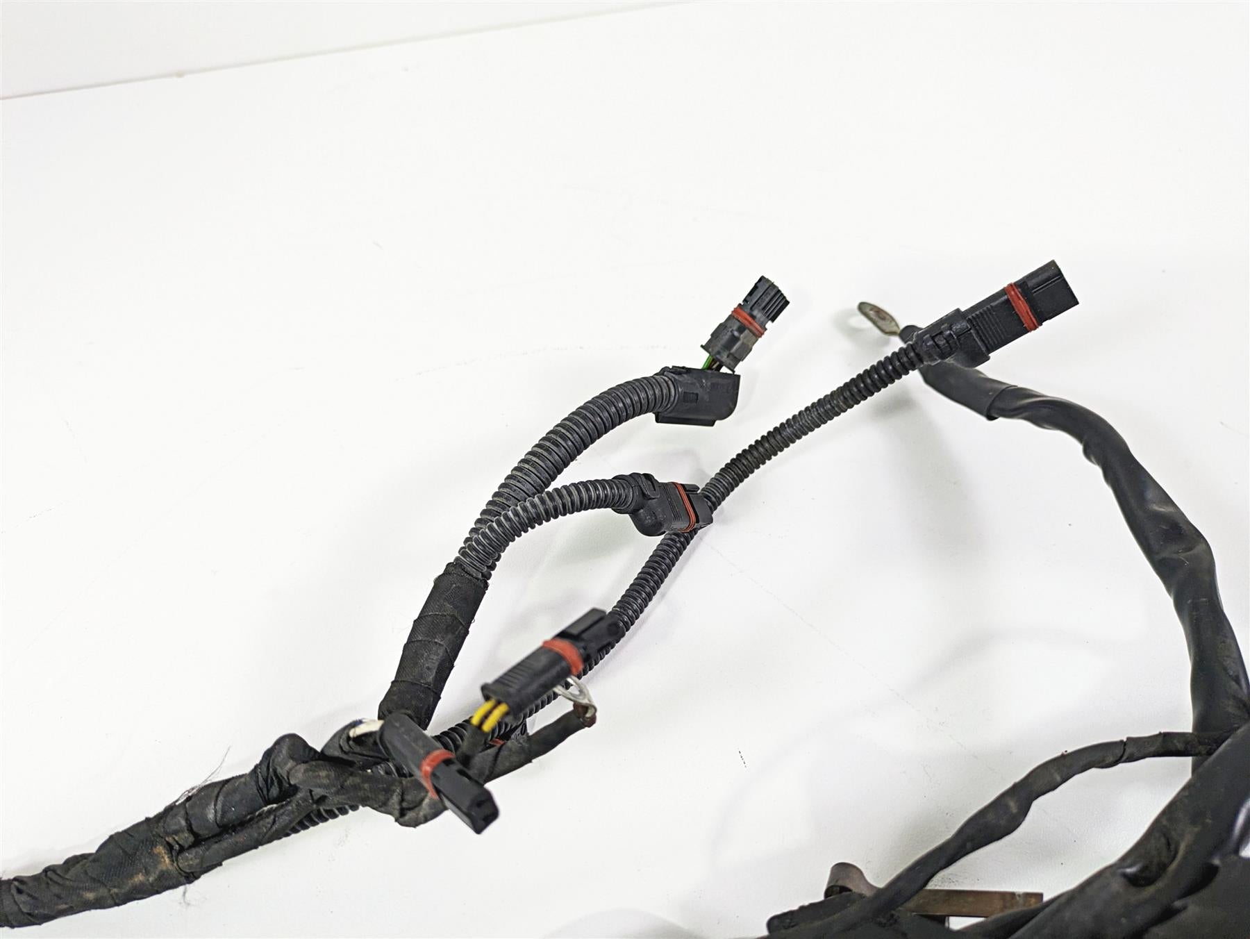 2006 BMW R1200GS K255 Adv Main & Engine Wiring Harness 61117699821 {{ shop.shopifyCountryName }} - Mototech271