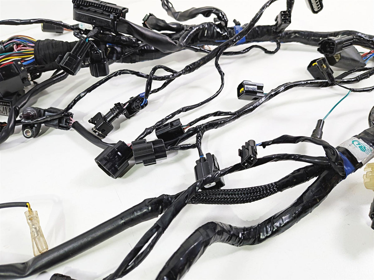 2019 Triumph Speed Triple RS 1050 Wiring Harness Loom - No Cuts T2502526 {{ shop.shopifyCountryName }} - Mototech271