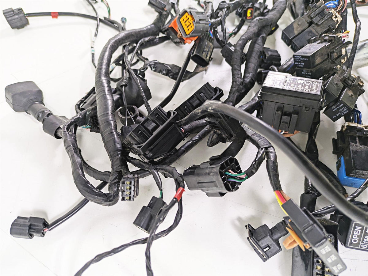 2015 Triumph Tiger Explorer XC Wiring Harness Loom - No Cuts T2501095 {{ shop.shopifyCountryName }} - Mototech271
