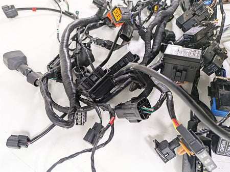 2015 Triumph Tiger Explorer XC Wiring Harness Loom - No Cuts T2501095 {{ shop.shopifyCountryName }} - Mototech271