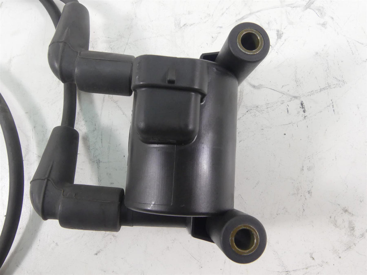 2011 Harley Touring FLTRU Road Glide Delphi Ignition Coil Wires Plugs 31696-07A {{ shop.shopifyCountryName }} - Mototech271