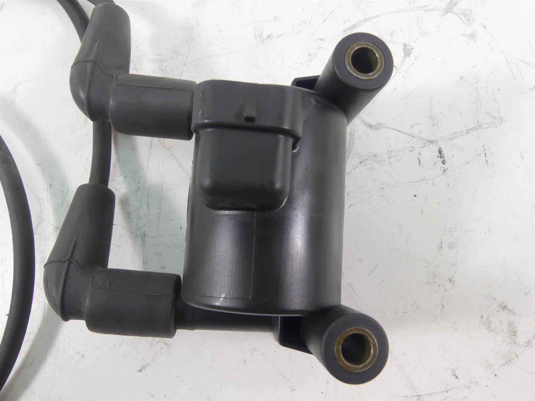 2011 Harley Touring FLTRU Road Glide Delphi Ignition Coil Wires Plugs 31696-07A {{ shop.shopifyCountryName }} - Mototech271