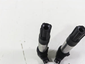 2015 BMW R1200GS Adv K51 Eldor Ignition Coil Set 12138526677