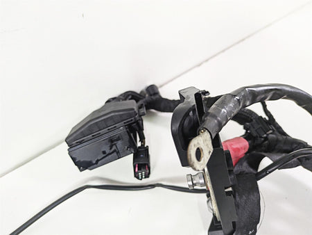 2015 BMW R nineT K21 Main & Engine Wiring Harness Set 61118548701 61118552922 {{ shop.shopifyCountryName }} - Mototech271