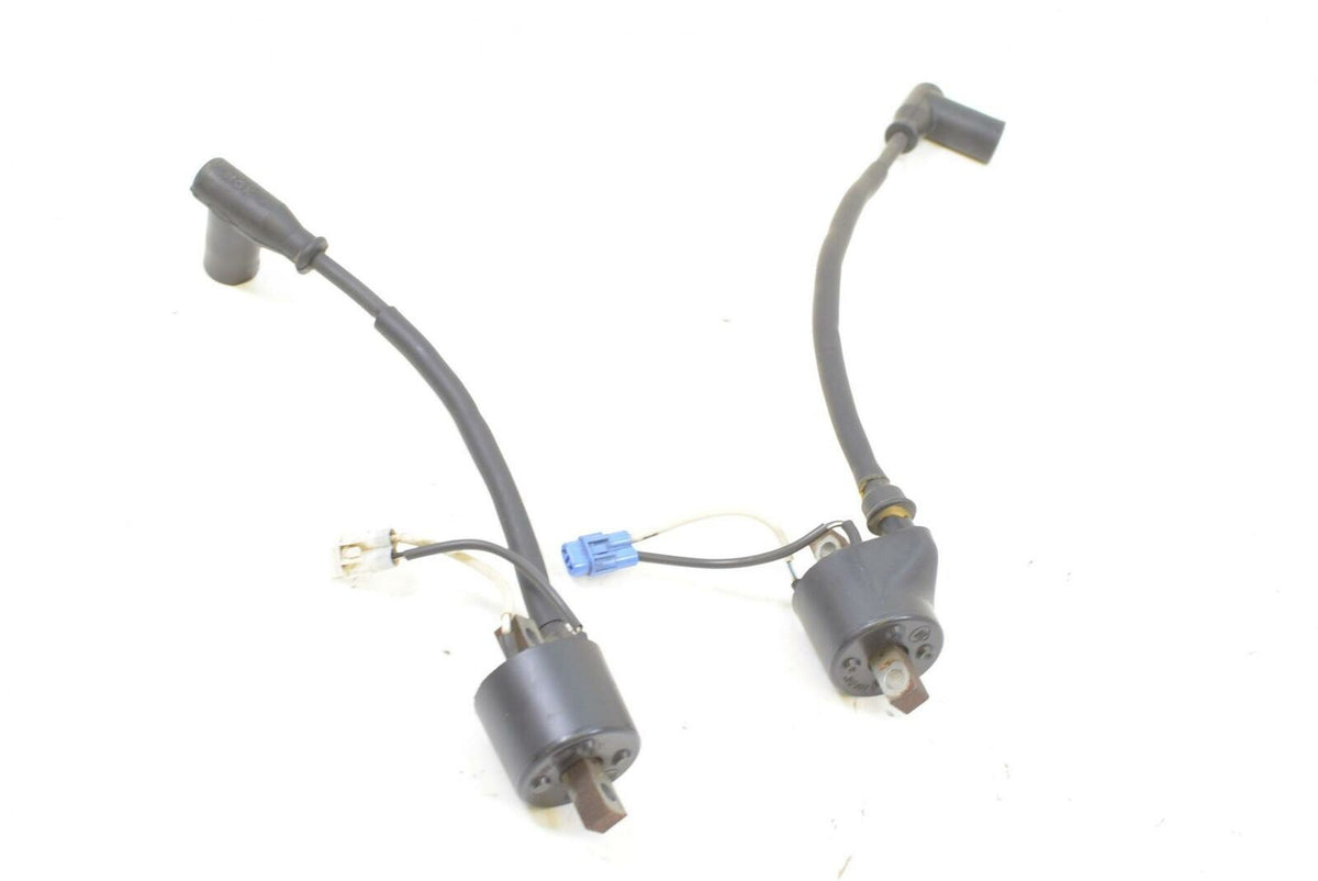2009 Polaris RMK 600 S09PM6KS Ignition Coil Set 4012168 4012169 {{ shop.shopifyCountryName }} - Mototech271