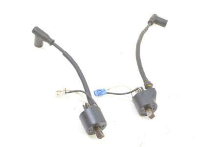 2009 Polaris RMK 600 S09PM6KS Ignition Coil Set 4012168 4012169 {{ shop.shopifyCountryName }} - Mototech271