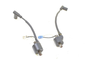 2009 Polaris RMK 600 S09PM6KS Ignition Coil Set 4012168 4012169 | Mototech271