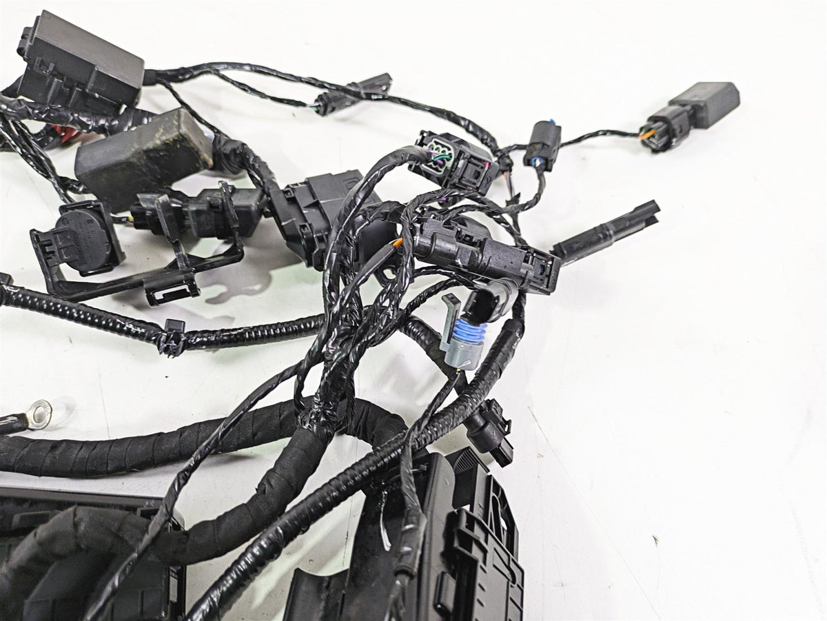 2023 BMW G310R K03 Wiring Harness Loom - No Cuts 61111541006 {{ shop.shopifyCountryName }} - Mototech271