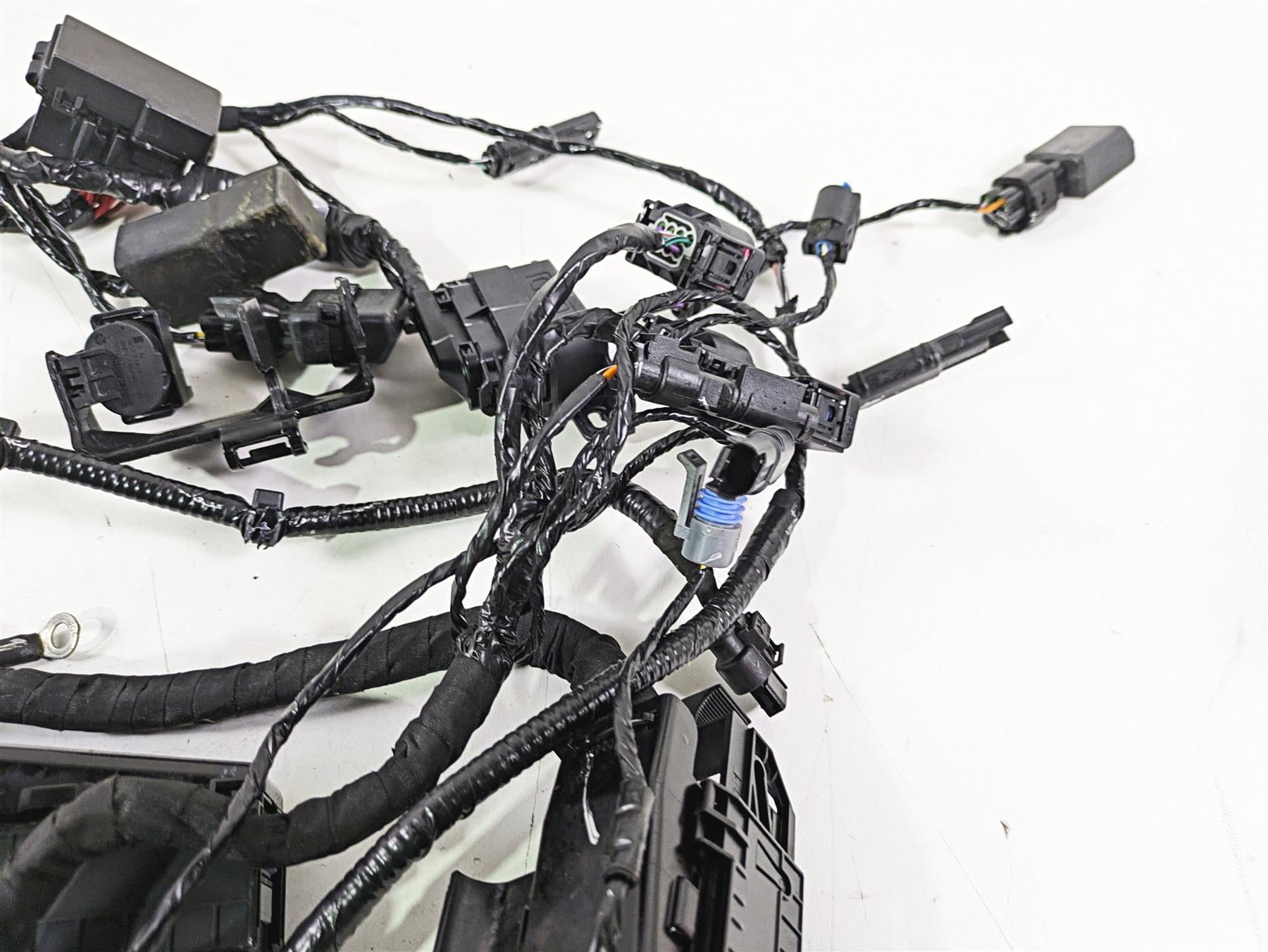 2023 BMW G310R K03 Wiring Harness Loom - No Cuts 61111541006 {{ shop.shopifyCountryName }} - Mototech271