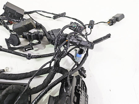 2023 BMW G310R K03 Wiring Harness Loom - No Cuts 61111541006 {{ shop.shopifyCountryName }} - Mototech271