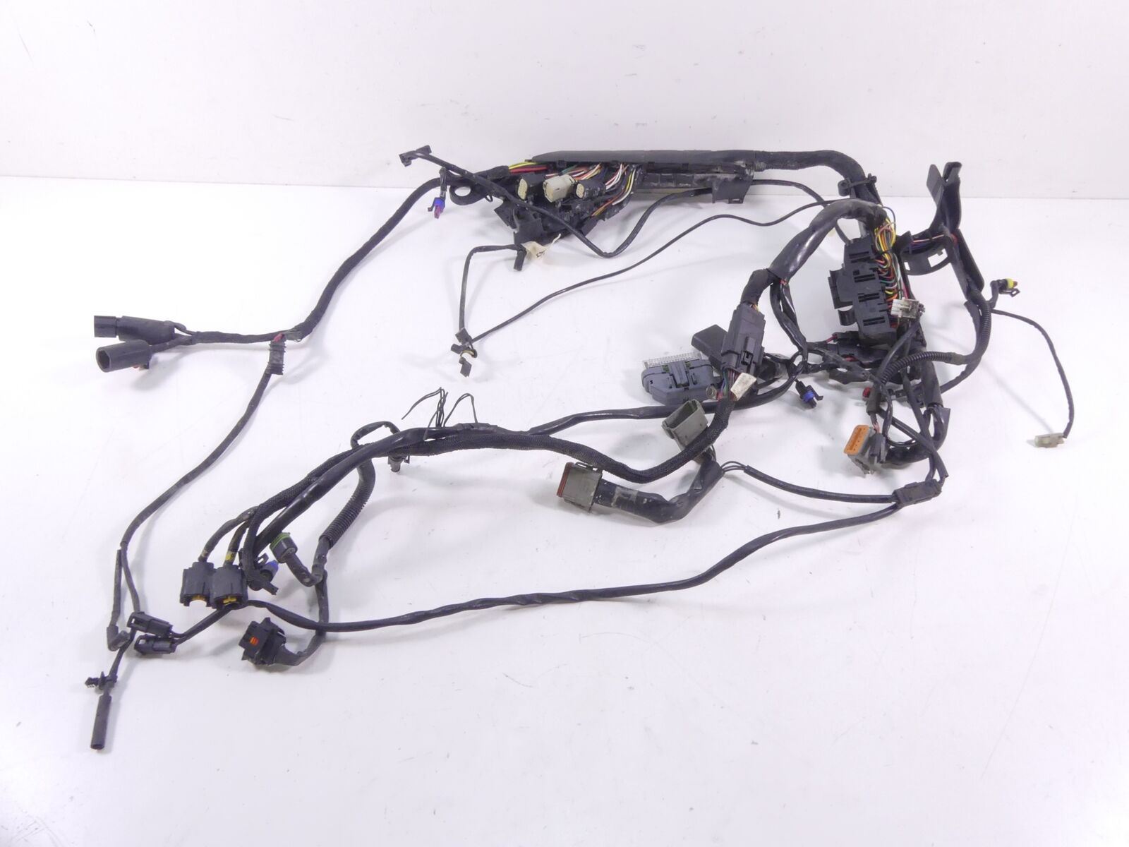 2009 Harley Sportster XR1200 Main & Engine Wiring Harness -Read 70225-08 70163-0