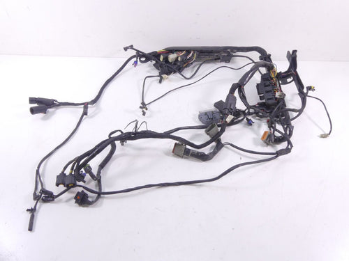 2009 Harley Sportster XR1200 Main & Engine Wiring Harness -Read 70225-08 70163-0 | Mototech271