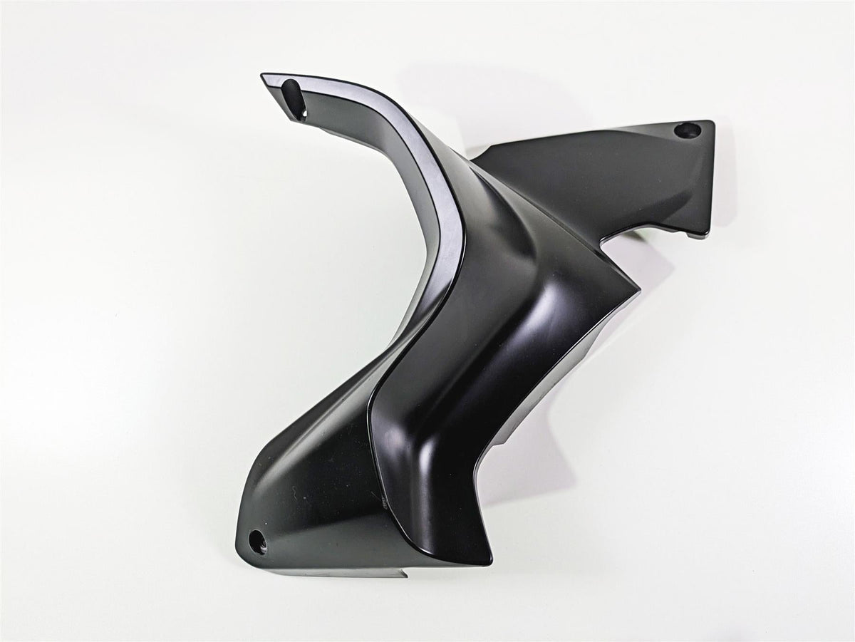 2019 BMW R1250RT K52 Left Engine Cover Fairing Cowl 46638382725 {{ shop.shopifyCountryName }} - Mototech271