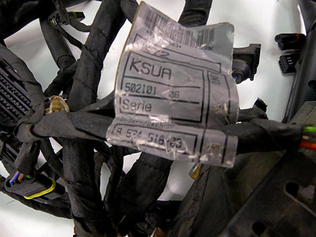 2013 BMW F800GS STD K72 Engine & Main Wiring Harness 12518534523 61118534518 {{ shop.shopifyCountryName }} - Mototech271