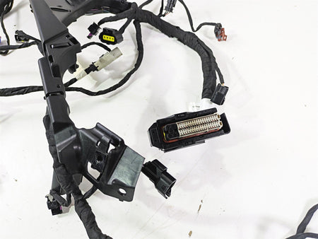 2024 Harley Sportster RH975 S Engine Wiring Harness Loom - Read 69203140 {{ shop.shopifyCountryName }} - Mototech271