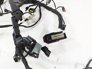 2024 Harley Sportster RH975 S Engine Wiring Harness Loom - Read 69203140