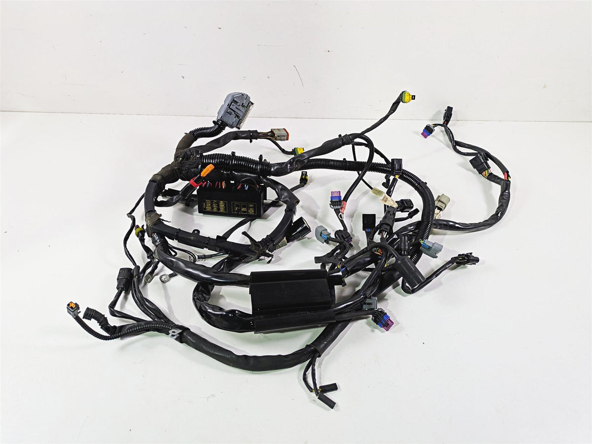 2008 Harley FXCWC Softail Rocker Main Wiring Harness - No Cuts 70452-08 {{ shop.shopifyCountryName }} - Mototech271