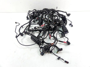 2016 BMW R1200GS Adv K51 Main & Engine Wiring Harness 61118562116 12518544470