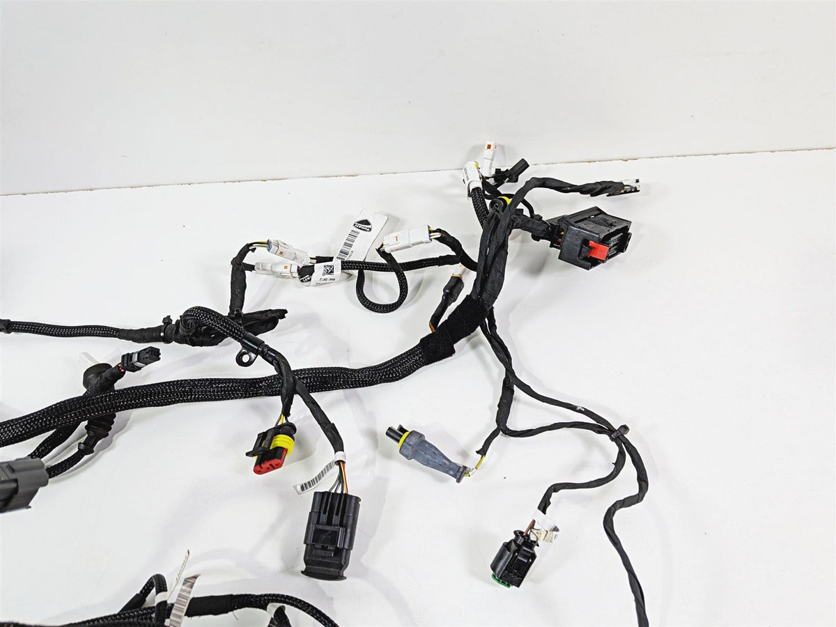 2019 Ducati Panigale V4S V4 S Corse Wiring Harness Loom Set 5101C381G 69929711A {{ shop.shopifyCountryName }} - Mototech271