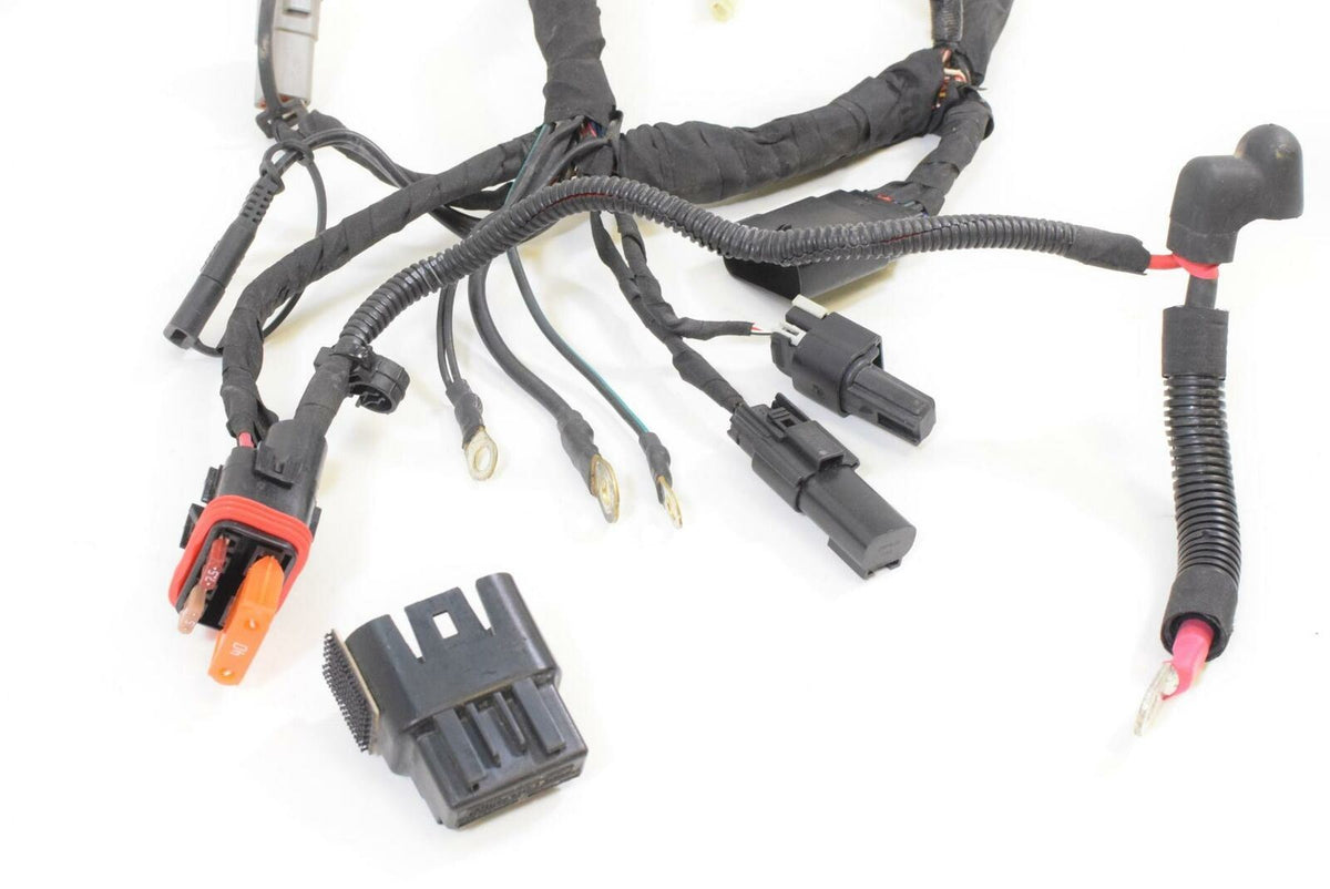 2018 Harley Softail FXLR Low Rider Non-ABS Main Wiring Harness - No cuts 6920149 {{ shop.shopifyCountryName }} - Mototech271