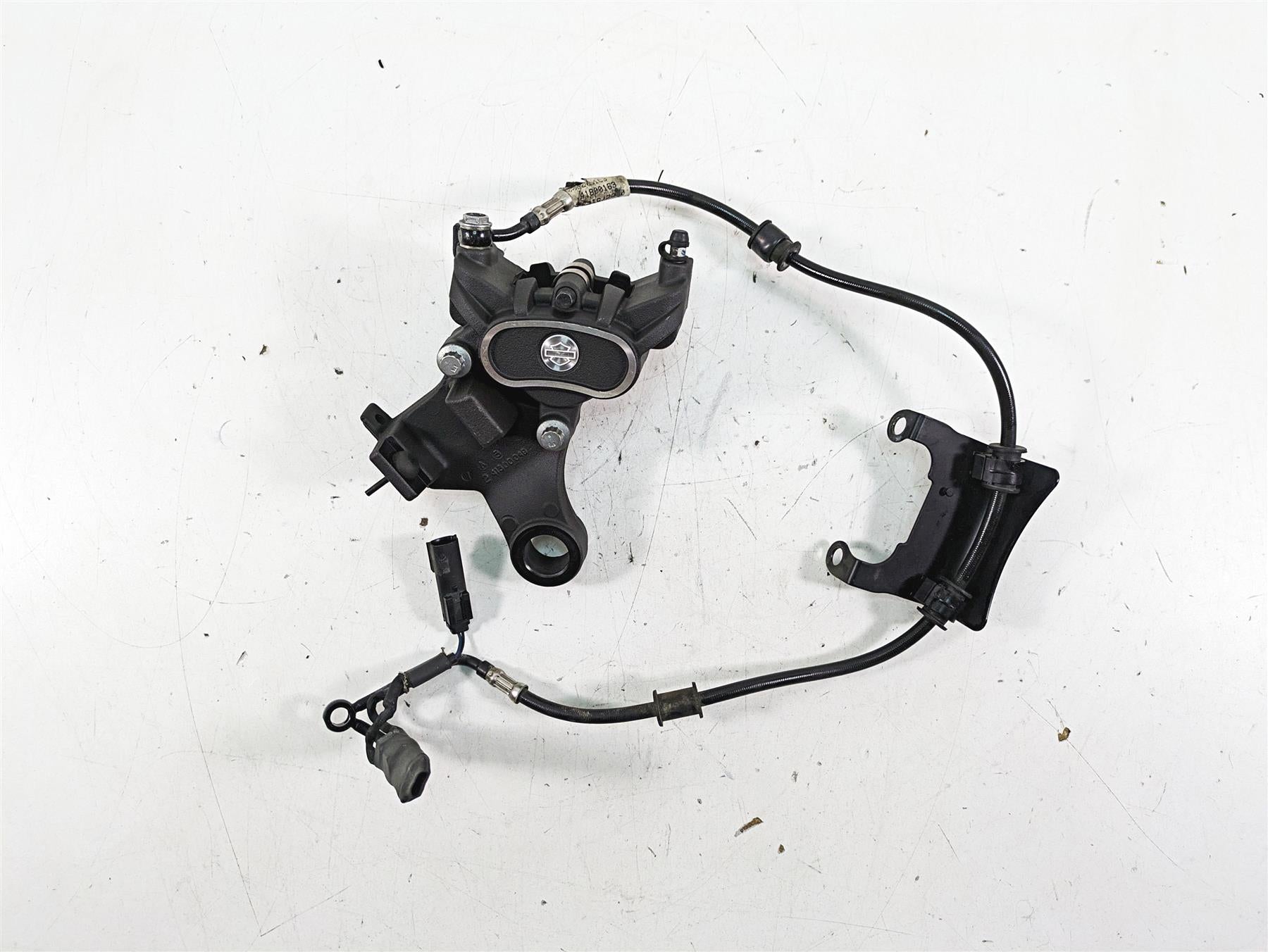 2017 Harley XL883 N Sportster Iron Rear Brake Caliper + Bracket 41300039 {{ shop.shopifyCountryName }} - Mototech271