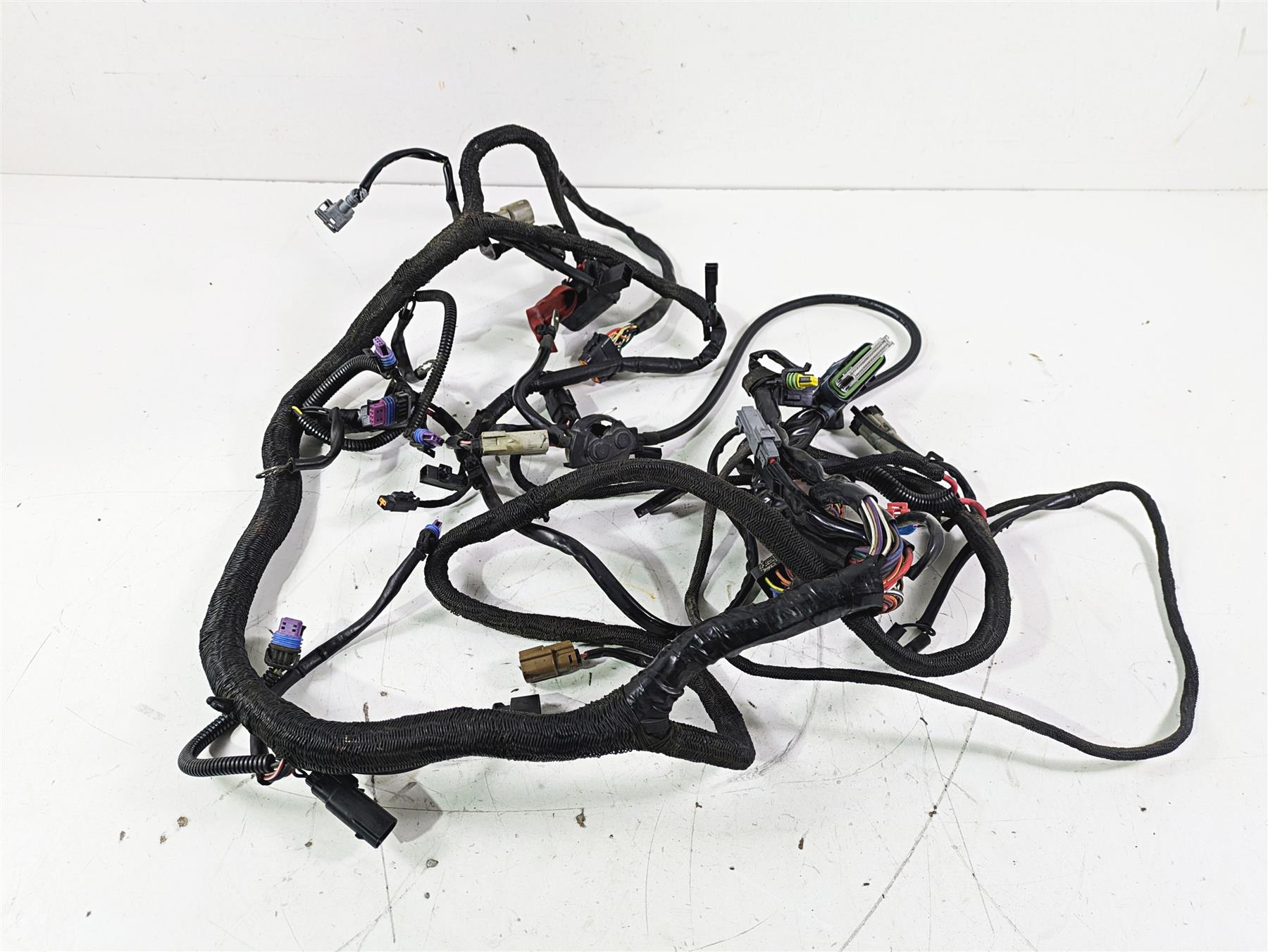 2012 Harley VRSCF Muscle V Rod Main Wiring Harness Non Abs 69200094 {{ shop.shopifyCountryName }} - Mototech271