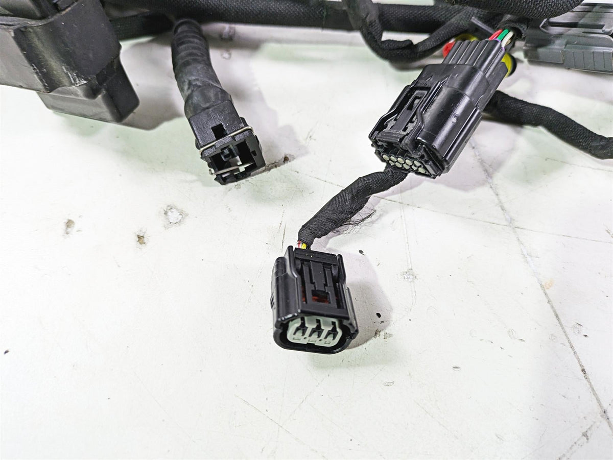 2022 MV Agusta F3 800 Rosso Main Wiring Harness Loom 8000C8926 {{ shop.shopifyCountryName }} - Mototech271