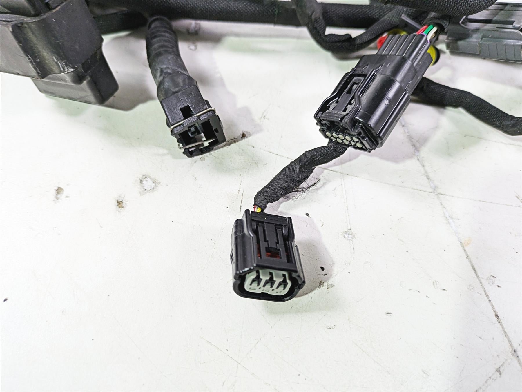 2022 MV Agusta F3 800 Rosso Main Wiring Harness Loom 8000C8926 {{ shop.shopifyCountryName }} - Mototech271