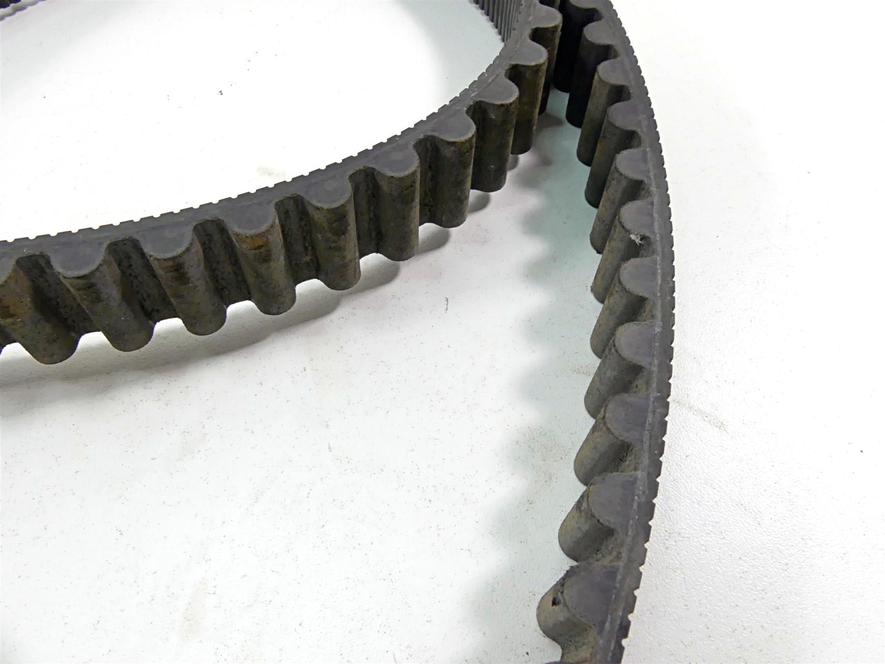 2014 Harley VRSCF Muscle V-Rod Rear Main Drive Belt 151T 40144-07 {{ shop.shopifyCountryName }} - Mototech271
