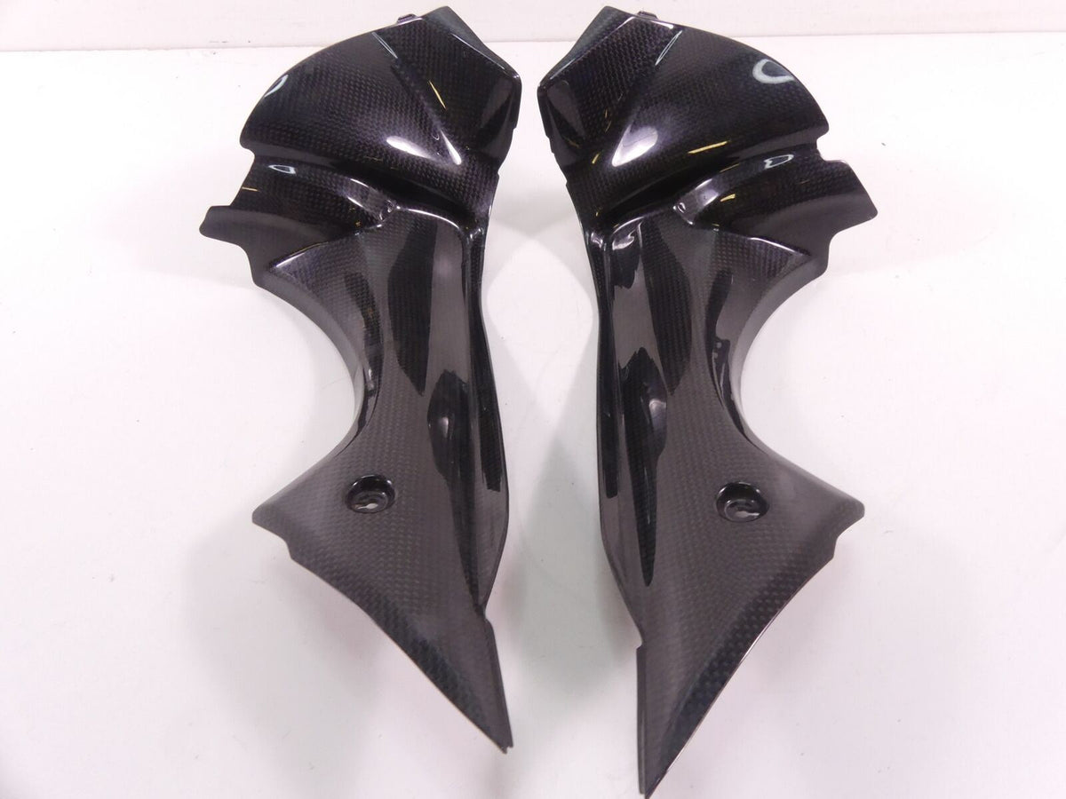 2017 Triumph Daytona 675R Front Carbon Fiber Inner Side Panel Fairings T2309398 {{ shop.shopifyCountryName }} - Mototech271