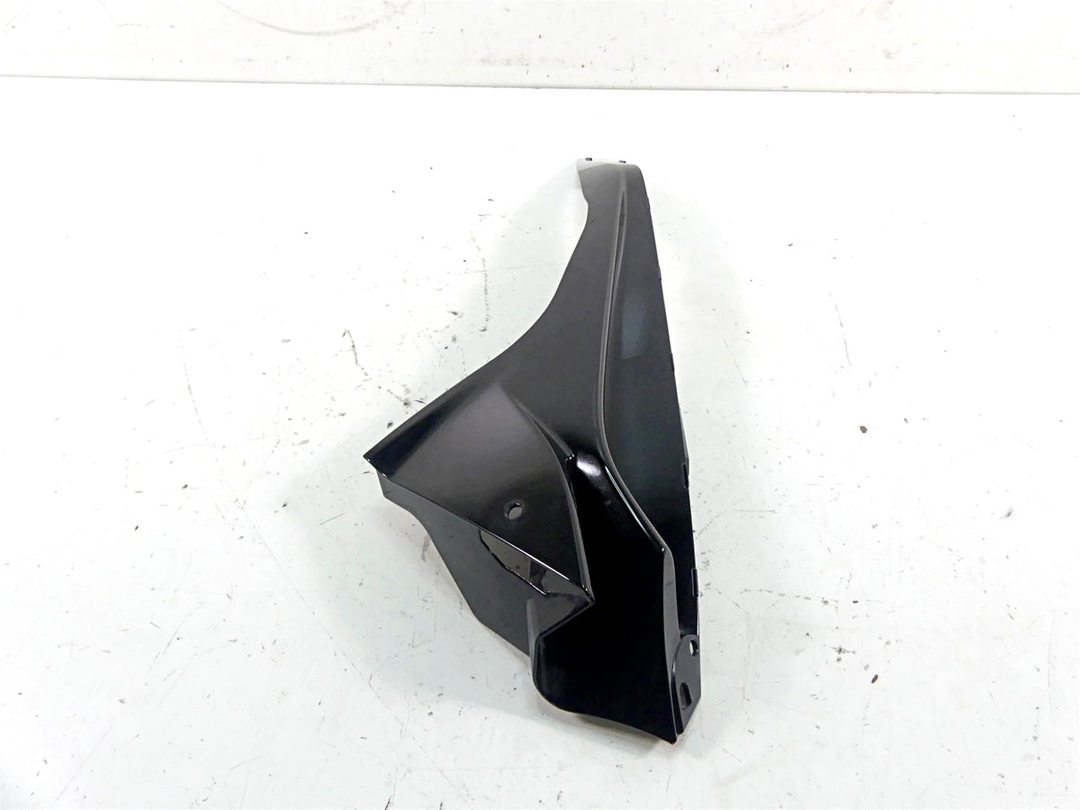 2018 BMW S1000RR K46 Left Badge Carrier Panel Cover Fairing - Black 46638548157 {{ shop.shopifyCountryName }} - Mototech271