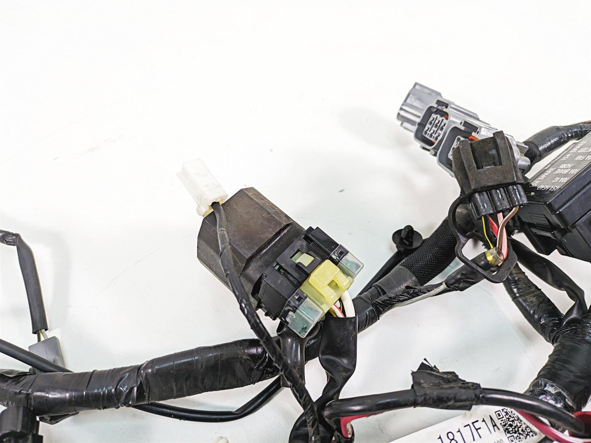 2016 Kawasaki Ninja EX300 Wiring Harness Loom -No Cuts 26031-1817 {{ shop.shopifyCountryName }} - Mototech271