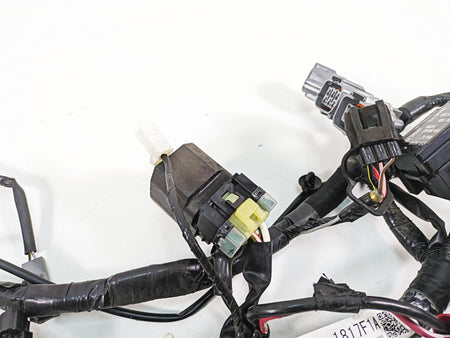 2016 Kawasaki Ninja EX300 Wiring Harness Loom -No Cuts 26031-1817 {{ shop.shopifyCountryName }} - Mototech271