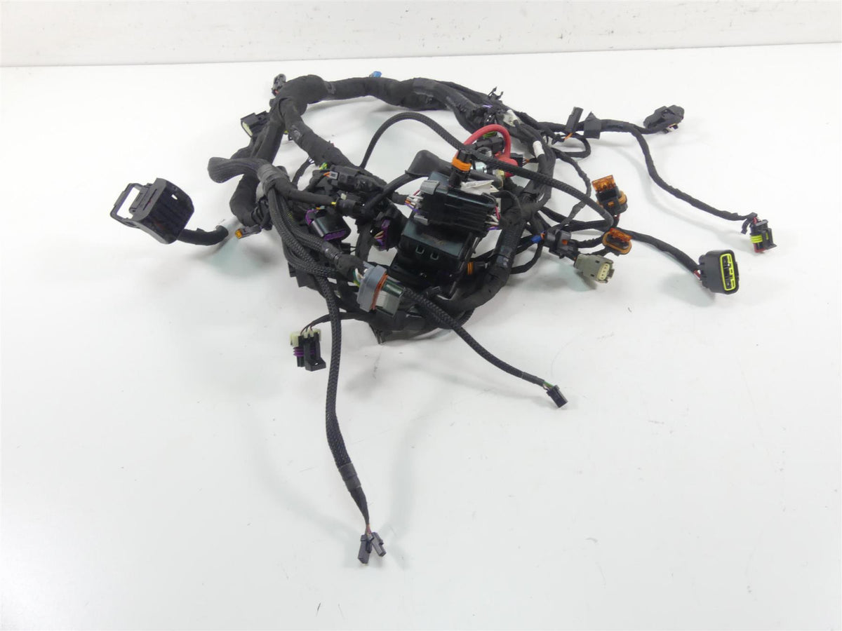 2022 Indian FTR1200 S Main Wiring Harness Loom - No Cuts 2415580 2415446 {{ shop.shopifyCountryName }} - Mototech271