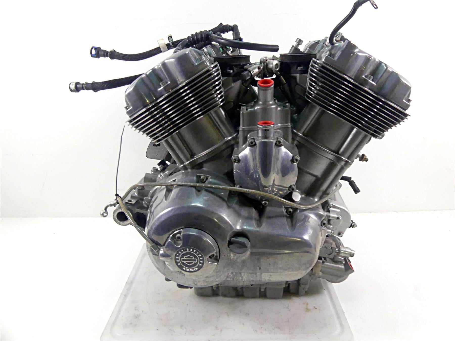 2015 Harley VRSCF Muscle V-Rod Running 1250ccm Engine Motor 13k -Video 19974-17K {{ shop.shopifyCountryName }} - Mototech271