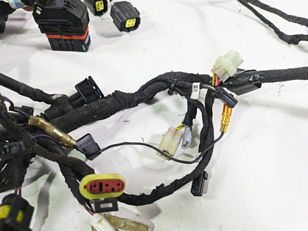 2009 Ducati Monster 1100 S Wiring Harness Loom 51015911B {{ shop.shopifyCountryName }} - Mototech271