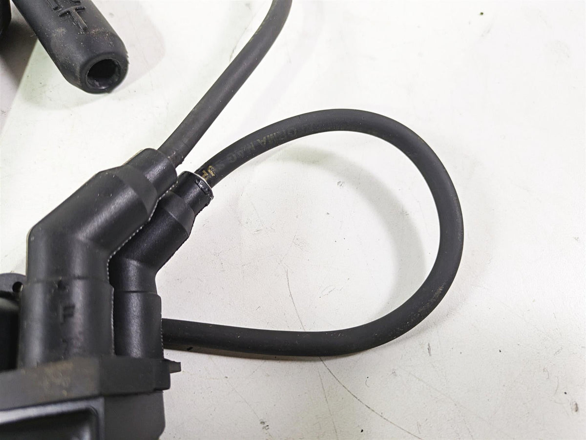 2018 Indian Chieftain Limited Ignition Coil Wires Plugs 4010425 2876049 {{ shop.shopifyCountryName }} - Mototech271