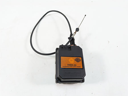 2006 Harley Touring FLHXI Street Glide Delphi Cruise Control Module 70955-04 {{ shop.shopifyCountryName }} - Mototech271