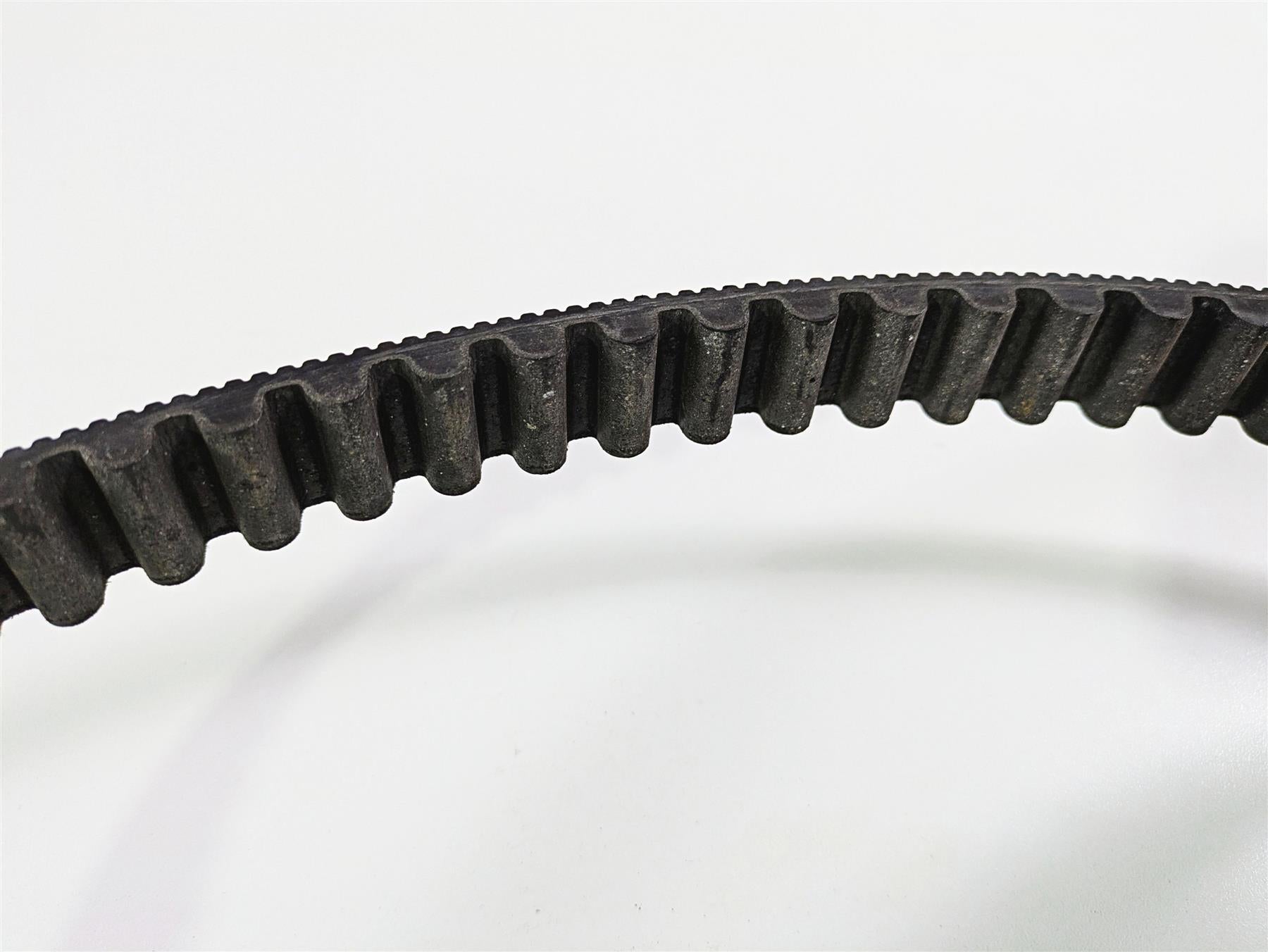 2016 Indian Chief Classic Rear Drive Belt 125T 24mm 3211168 {{ shop.shopifyCountryName }} - Mototech271